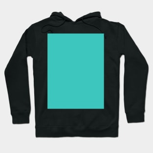 Minimal Solid Neon Blue Color Tone Hoodie